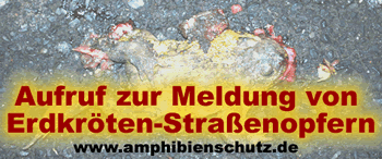 Aufruf zur Meldung von Erdkröten-Straßenopfern! - www.amphibienschutz.de 2012